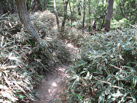 20140602hike (205)